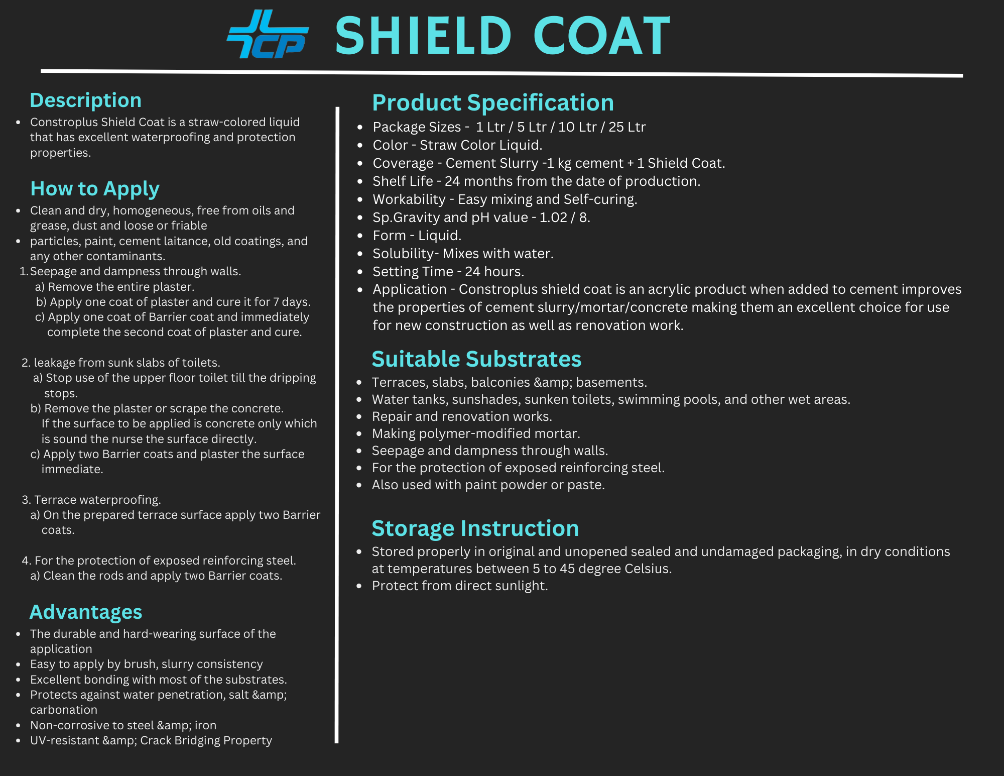 Shield Coat